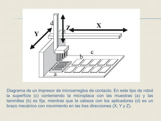 Diagrama de un impresor de microarreglos de contacto. En este tipo de robot
la superficie (c) conteniendo la microplaca con las muestras (a) y las
laminillas (b) es fija, mientras que la cabeza con los aplicadores (d) es un
brazo mecánico con movimiento en las tres direcciones (X, Y y Z).
 
