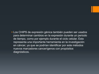  Los CHIPS de expresión génica también pueden ser usados
para determinar cambios en la expresión durante un periodo
de tiempo, como por ejemplo durante el ciclo celular. Esto
representa una importante herramienta en la investigación
en cáncer, ya que se podrían identificar por este métodos
nuevos marcadores cancerígenos con propósitos
diagnósticos.

 