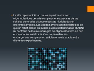  La alta reproducibilidad de los experimentos con
oligonucleótidos permite comparaciones precisas de las
señales generadas usando muestras hibridizadas en
diferentes arreglos. Los spotted arrays son microarreglos en
que un robot coloca en puntos o spots determinados el ADNc
(al contrario de los microarreglos de oligonucleótidos en que
el material se sintetiza in situ); no permiten, sin
embargo, una comparación suficientemente exacta entre
diferentes experimentos.

 
