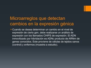 Microarreglos que detectan
cambios en la expresión génica
 Cuando se desea determinar un cambio en el nivel de
expresión de cierto gen, debe realizarse un análisis de
expresión con los llamados CHIPS de expresión. El ADN
inmovilizado por hibridación es ADNc producto de ARNm de
genes conocidos. Este proviene de células de tejidos sanos
(control) y enfermos (muestra a estudio).

 