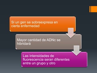 Si un gen se sobreexpresa en
cierta enfermedad

Mayor cantidad de ADNc se
hibridará

Las intensidades de
fluorescencia seran diferentes
entre un grupo y otro

 
