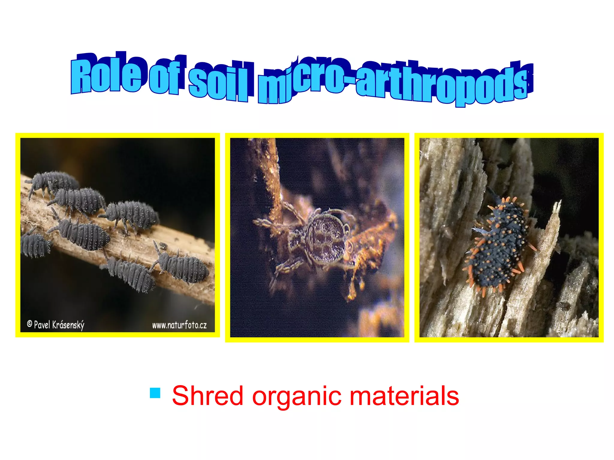  Shred organic materials
 