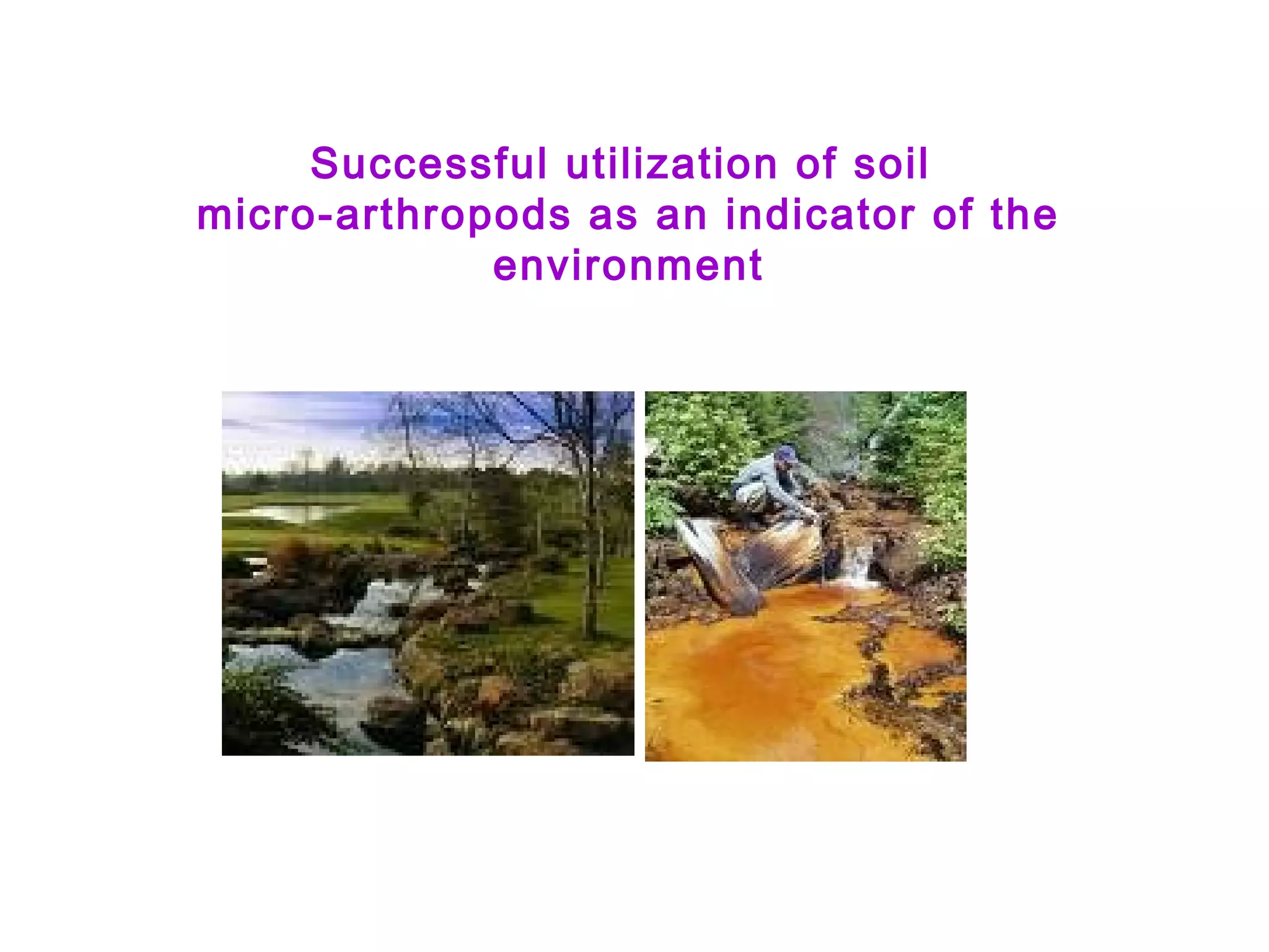 Successful utilization of soil
micro-arthropods as an indicator of the
environment
 
