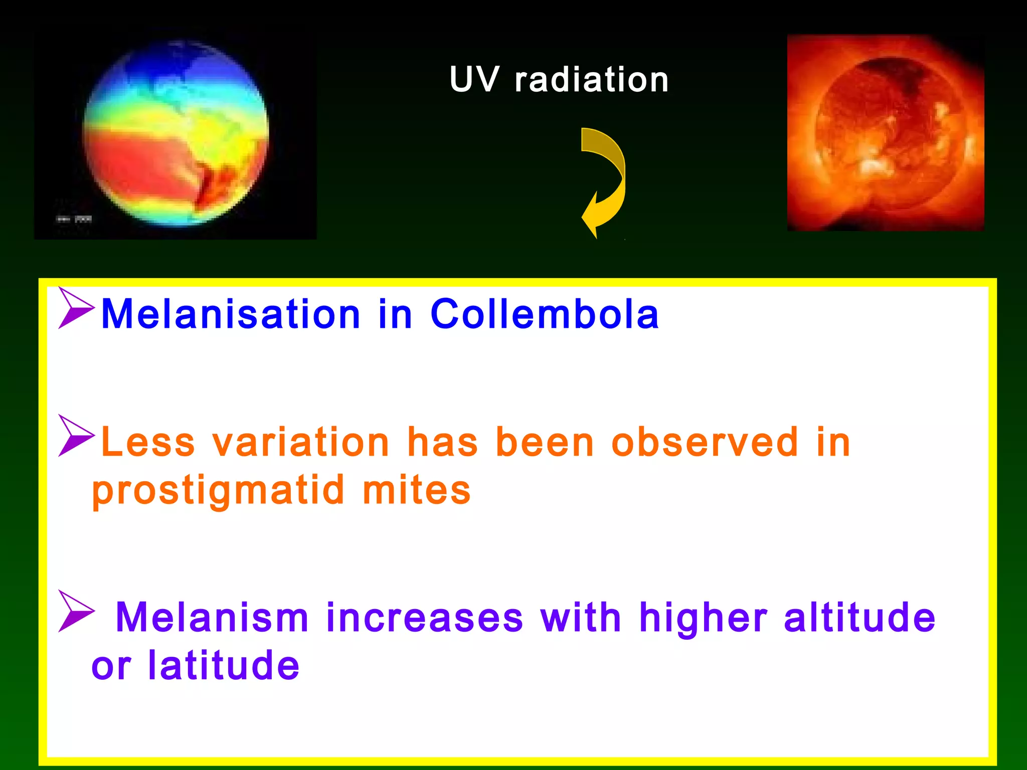 Melanisation in Collembola
Less variation has been observed in
prostigmatid mites
 Melanism increases with higher altitude
or latitude
UV radiation
 