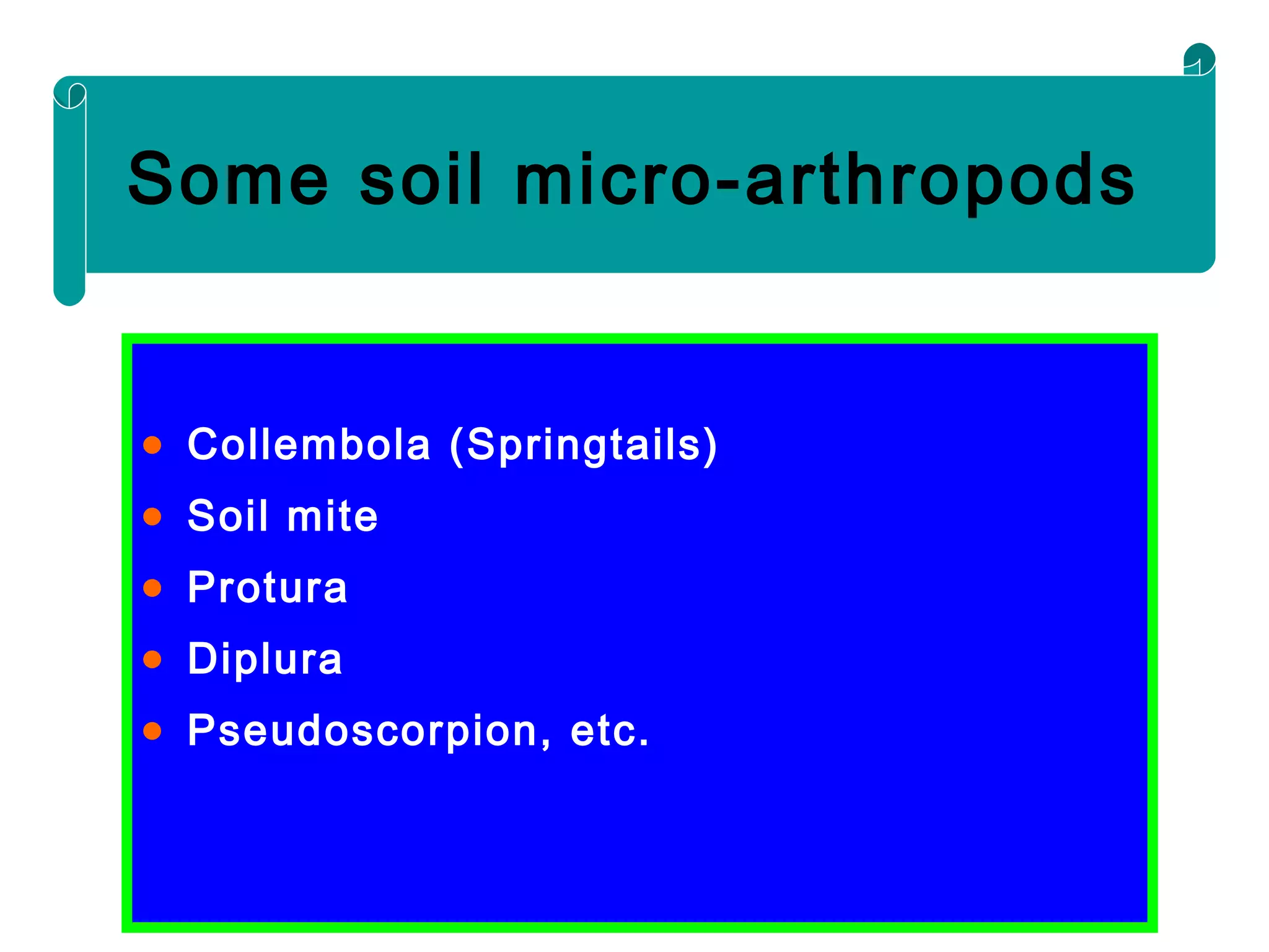 • Collembola (Springtails)
• Soil mite
• Protura
• Diplura
• Pseudoscorpion, etc.
Some soil micro-arthropods
 
