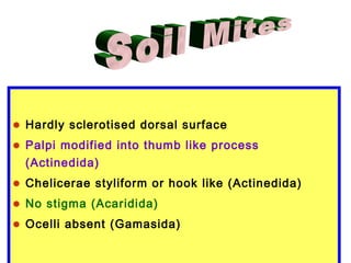 • Hardly sclerotised dorsal surface
• Palpi modified into thumb like process
(Actinedida)
• Chelicerae styliform or hook like (Actinedida)
• No stigma (Acaridida)
• Ocelli absent (Gamasida)
 