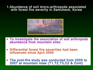 1.Abundance of soil micro-arthropods associated
with forest fire severity in Samcheok, Korea
(Kim et al., 2008)
• To investigate the association of soil arthropods
abundance from mountain sites
• Differential forest fire severities had been
influenced since April 2000
• The post-ﬁre study was conducted from 2005 to
2007 at mountain sites (T1,T2,T3,C2 & Cont)
 