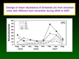 Change of mean abundance of Oribatida (A) from mountain
sites with different burn severities during 2005 to 2007
 