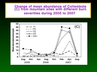 Change of mean abundance of Collembola
(C) from mountain sites with different burn
severities during 2005 to 2007
 