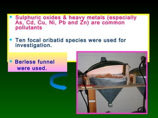  Sulphuric oxides & heavy metals (especially
As, Cd, Cu, Ni, Pb and Zn) are common
pollutants
 Ten focal oribatid species were used for
investigation.
 Berlese funnel
were used.
 