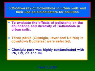 3.Biodiversity of Collembola in urban soils and
their use as bioindicators for pollution
• To evaluate the effects of pollutants on the
abundance and diversity of Collembola in
urban soils.
• Three parks (Cismigiu, Izvor and Unirea) in
downtown Bucharest were selected.
• Cismigiu park was highly contaminated with
Pb, Cd, Zn and Cu
Fiera C.,2009
 