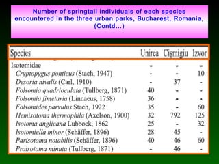 Number of springtail individuals of each species
encountered in the three urban parks, Bucharest, Romania,
(Contd…)
 