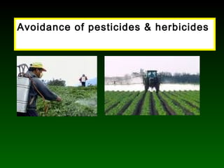 Avoidance of pesticides & herbicides
 