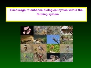 Encourage to enhance biological cycles within the
farming system
 