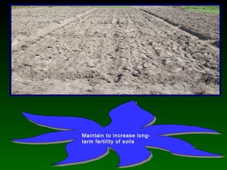 Maintain to increase long-
term fertility of soils
Maintain to increase long-
term fertility of soils
 