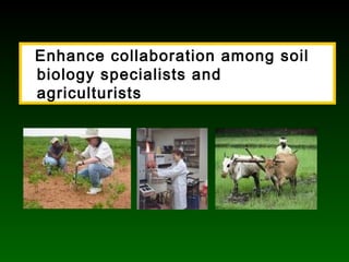 Enhance collaboration among soil
biology specialists and
agriculturists
 