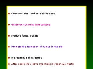 • Consume plant and animal residues
• Graze on soil fungi and bacteria
• produce faecal pellets
• Promote the formation of humus in the soil
• Maintaining soil structure
• After death they leave important nitrogenous waste
 