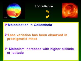 Melanisation in Collembola
Less variation has been observed in
prostigmatid mites
 Melanism increases with higher altitude
or latitude
UV radiation
 