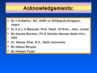 Acknowledgements:Acknowledgements:
 Dr.Y.S.Mathur, NC, AINP on Whitegrub,Durgapur,
Jaipur
 Dr.A.A.L.H.Barooah, Prof, Deptt. Of Ento., AAU, Jorhat
 Mr.Apurba Burman, Ph.D Scholar,Kansas State Univ.,
USA
 Dr. Manas Dhal, R.A., Delhi University
 Mr.Utpaul Bhuyan
 Mr.Dwiban Pujari
 