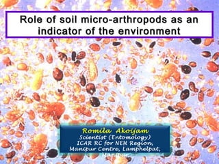 Role of soil micro-arthropods as anRole of soil micro-arthropods as an
indicator of the environmentindicator of the environment
Romila Akoijam
Scientist (Entomology)
ICAR RC for NEH Region,
Manipur Centre, Lamphelpat,
Manipur
 
