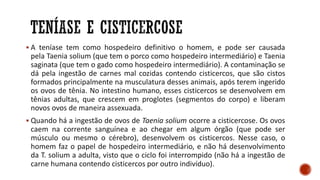 ▪ A teníase tem como hospedeiro definitivo o homem, e pode ser causada
pela Taenia solium (que tem o porco como hospedeiro intermediário) e Taenia
saginata (que tem o gado como hospedeiro intermediário). A contaminação se
dá pela ingestão de carnes mal cozidas contendo cisticercos, que são cistos
formados principalmente na musculatura desses animais, após terem ingerido
os ovos de tênia. No intestino humano, esses cisticercos se desenvolvem em
tênias adultas, que crescem em proglotes (segmentos do corpo) e liberam
novos ovos de maneira assexuada.
▪ Quando há a ingestão de ovos de Taenia solium ocorre a cisticercose. Os ovos
caem na corrente sanguínea e ao chegar em algum órgão (que pode ser
músculo ou mesmo o cérebro), desenvolvem os cisticercos. Nesse caso, o
homem faz o papel de hospedeiro intermediário, e não há desenvolvimento
da T. solium a adulta, visto que o ciclo foi interrompido (não há a ingestão de
carne humana contendo cisticercos por outro indivíduo).
 