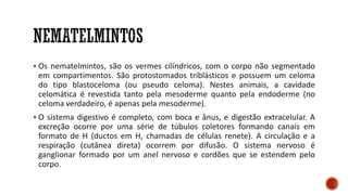 ▪ Os nematelmintos, são os vermes cilíndricos, com o corpo não segmentado
em compartimentos. São protostomados triblásticos e possuem um celoma
do tipo blastoceloma (ou pseudo celoma). Nestes animais, a cavidade
celomática é revestida tanto pela mesoderme quanto pela endoderme (no
celoma verdadeiro, é apenas pela mesoderme).
▪ O sistema digestivo é completo, com boca e ânus, e digestão extracelular. A
excreção ocorre por uma série de túbulos coletores formando canais em
formato de H (ductos em H, chamadas de células renete). A circulação e a
respiração (cutânea direta) ocorrem por difusão. O sistema nervoso é
ganglionar formado por um anel nervoso e cordões que se estendem pelo
corpo.
 
