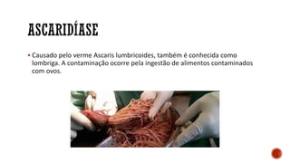 ▪ Causado pelo verme Ascaris lumbricoides, também é conhecida como
lombriga. A contaminação ocorre pela ingestão de alimentos contaminados
com ovos.
 