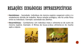 ▪ Harmônicas: - Sociedade: Indivíduos da mesma espécie cooperam entre si e
estabelecem divisão de trabalho. Nessa relação ecológica, não há união física
entre os indivíduos. Exemplo: sociedade das abelhas.
▪ Desarmônicas: - Canibalismo: Um indivíduo mata e alimenta-se de outro da
mesma espécie. Exemplo: A fêmea do louva-a-deus alimenta-se do macho
após a cópula.
 