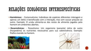 ▪ Harmônicas: - Comensalismo: Indivíduos de espécies diferentes interagem e
apenas um deles é beneficiado com a interação, mas sem causar prejuízo ao
outro. Exemplo: O urubu alimenta-se dos restos de alimento jogados pelo
homem em ambientes abertos.
▪ Desarmônicas: - Parasitismo: Um organismo (parasita) retira de outro
(hospedeiro) os nutrientes necessários para sua sobrevivência. Exemplo:
Piolho vivendo no homem.
 