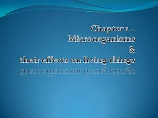 Chapter 1 – Microorganisms & their effects on living things