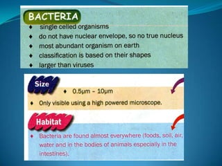 Microb