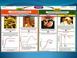 Microb