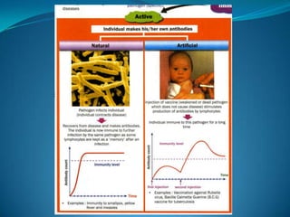 Microb