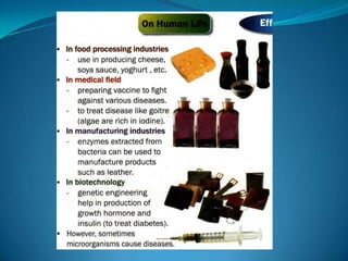 Microb
