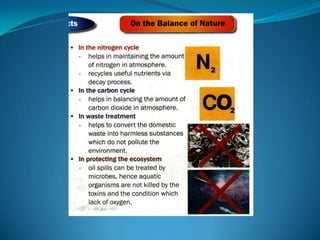 Microb