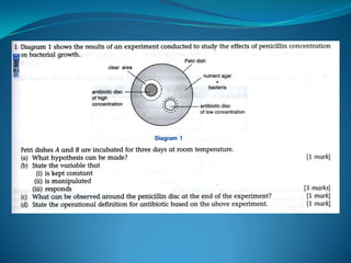 Microb