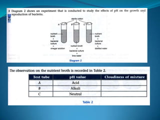 Microb