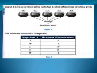 Microb