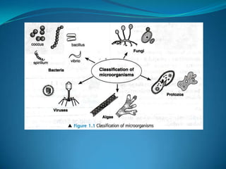 Microb