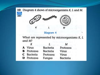 Microb