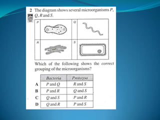 Microb