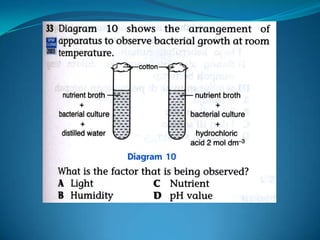 Microb