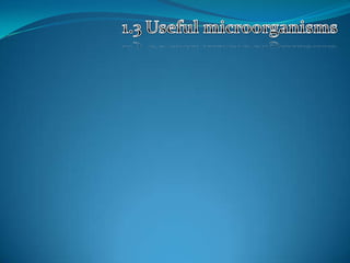 1.3 Useful microorganisms