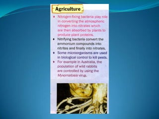 Microb