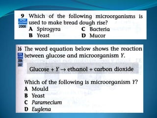 Microb