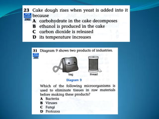 Microb