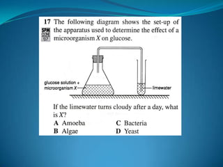 Microb