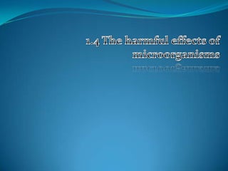 1.4 The harmful effects of microorganisms