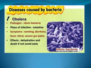 Microb