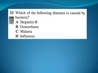 Microb